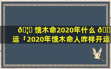 🦊 饿木命2020年什么 🌲 运「2020年饿木命人咋样开运」